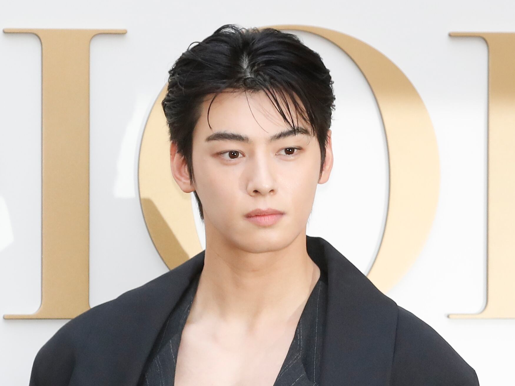 ‘얼굴 천재’ 차은우, 7월 28일 군대 간다… 육군 군악대 복무