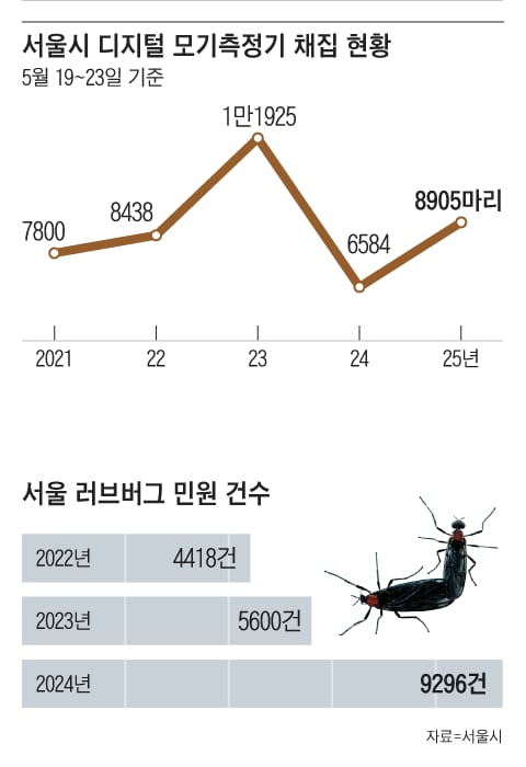 철없는 벌레 잡는 ‘방역 특공대’