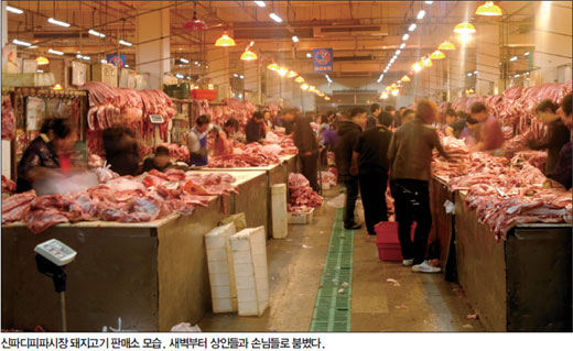 [특파원 리포트] 中 최대 농산물 도매시장 ‘베이징 신파디피파시장’ 르포