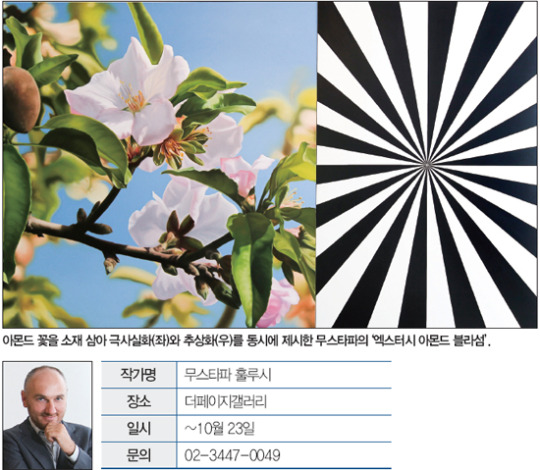 더페이지갤러리 ‘무스타파 훌루시’ 개인전…한 폭에 동일 소재 사실화·추상화로 담아