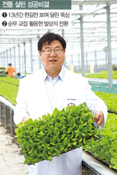 [Cover Story](4) 박동복 제일종묘농산 대표…항암배추로 지킨 김치 자존심
