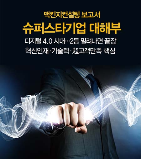 맥킨지컨설팅 보고서 슈퍼스타기업 대해부