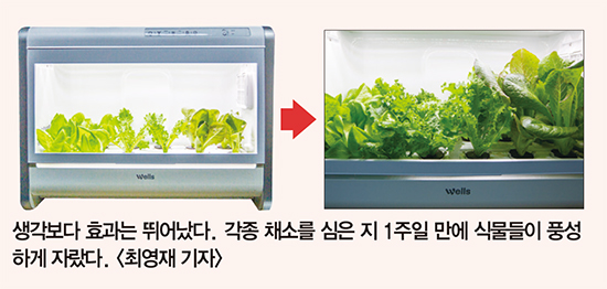 태풍마저 숨죽인 곳…스마트팜의 재발견