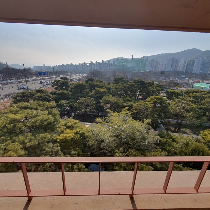 아버지가 아끼던 소나무 정원, 하루 2000명 방문 ‘핫플’로 바꾼 대구 청년 [신기방기 사업모델]