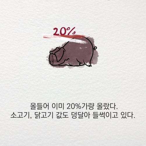 [30초 중국 읽기] 중국 돼지, 한국 식탁을 위협하다