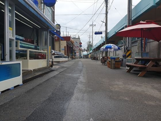 北목선 공포가 삼척항 덮쳤다···관광객 안 찾아 매출 반토막