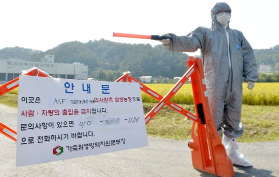 전국 최대 양돈단지 홍성 돼지열병 의심신고 음성… 양돈농가 안도