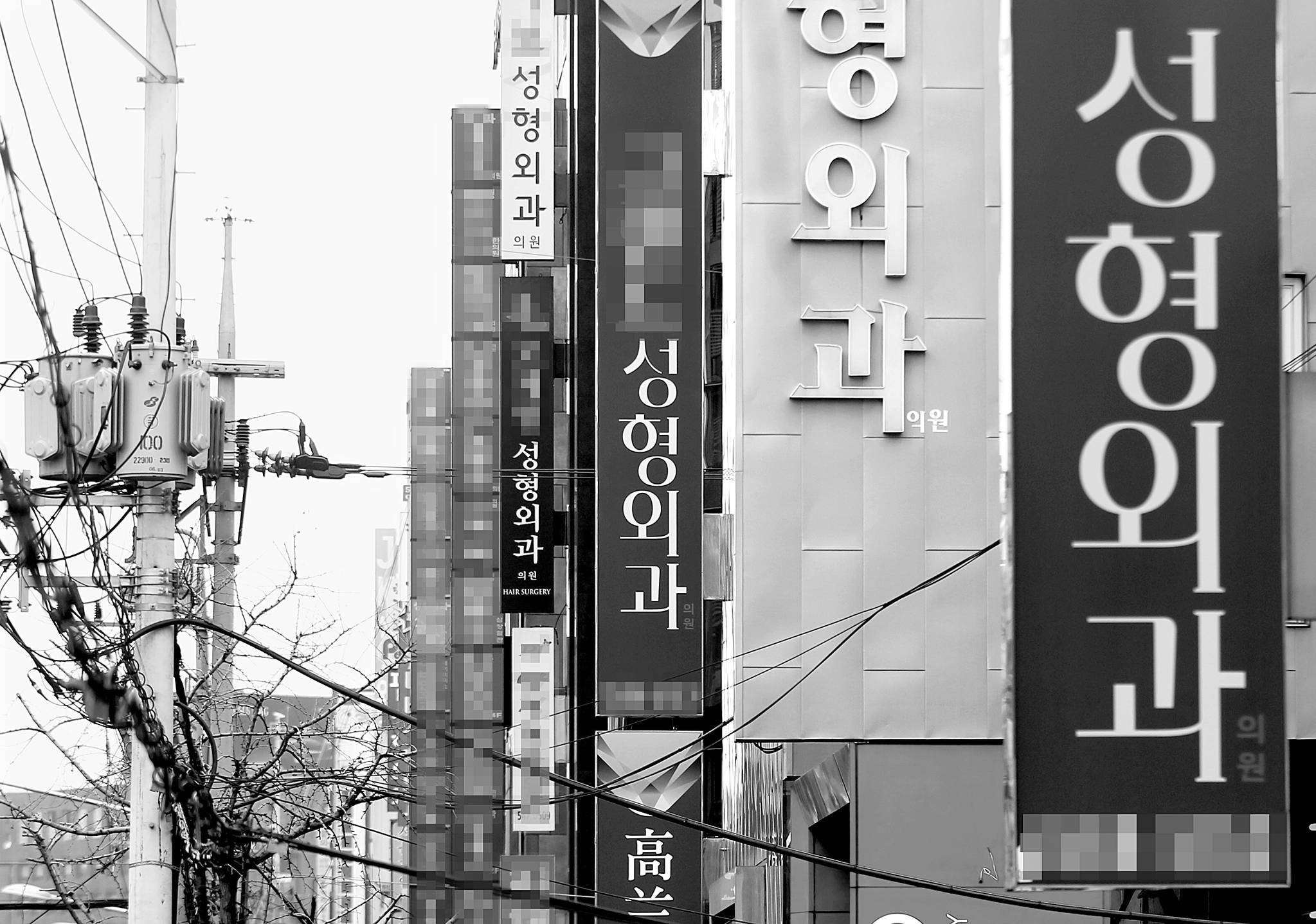 건강보험 진료 0 의료기관, 강남 성형외과에 몰려있다