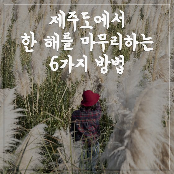 [카드뉴스] 제주도에서 한 해를 마무리하는 6가지 방법