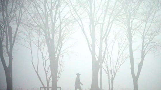 [한 컷] 꿈속 같은 풍경