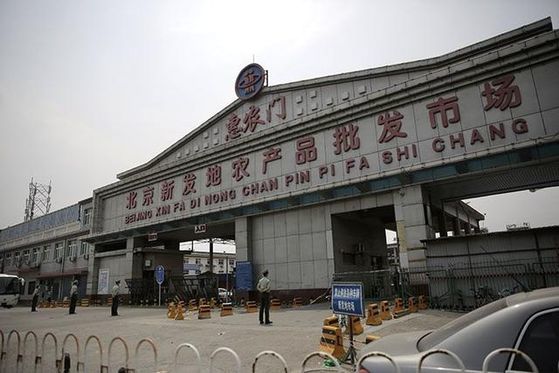 베이징 제2 우한 되나…수산시장 집단감염, 전시상태 선포