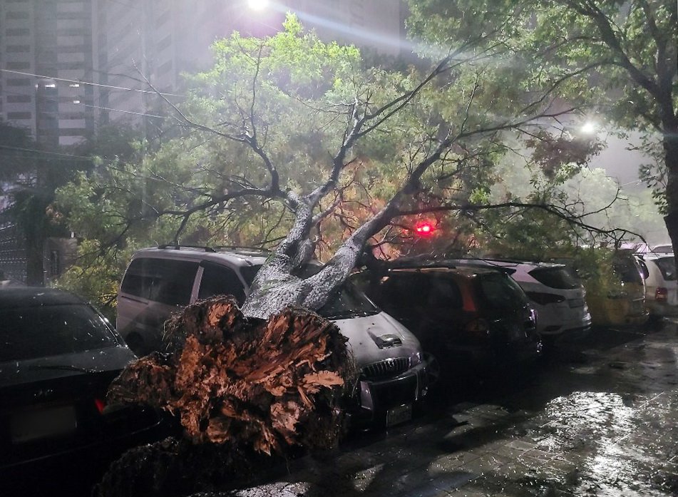 [서소문사진관] 역대급 태풍 마이삭 동해안 할퀴고 동해 거쳐 북한으로