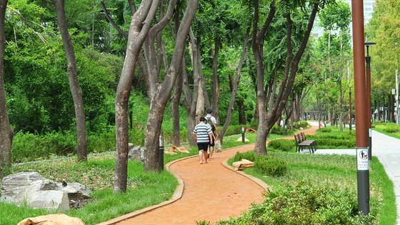 서울 강남 맨발로 걷는 황톳길…양재천로의 변신