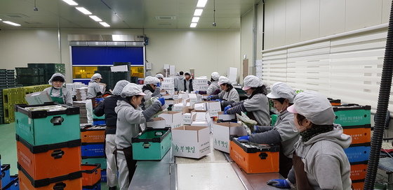 농산물 서울 안가고 지역에 곧바로…충남 발 농산물 유통혁신
