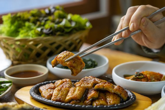 [일일오끼] 살살 녹는 풍천장어, 조개의 여왕 백합···선운사 단풍도 식후경
