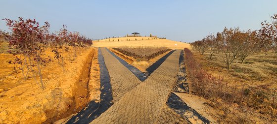 [영상]드론 띄워야 한눈에 보인다, 해남에 핀 지름 300m 눈꽃