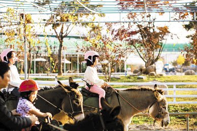 [라이프 트렌드&] 당나귀 타보고, 차박 하고…청정 자연의 농촌 마을로 떠나볼까