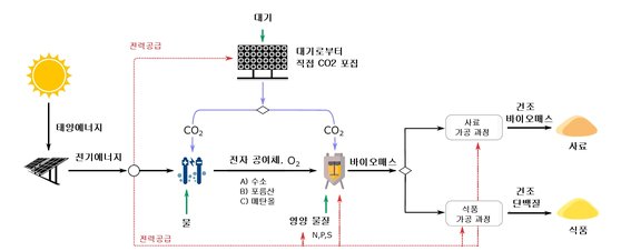 태양광으로 세균 배양…단백질 수확 기존 농법보다 훨씬 많아