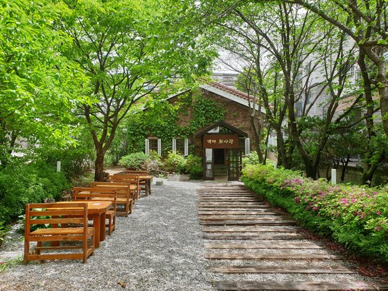 백마역 화사랑 되살아난다…이런 고양 프로젝트 3개 더 있다