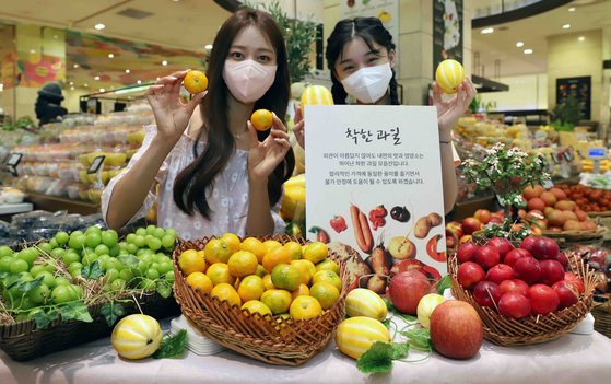 [사진] 작고 못생겨도 맛은 좋아요!