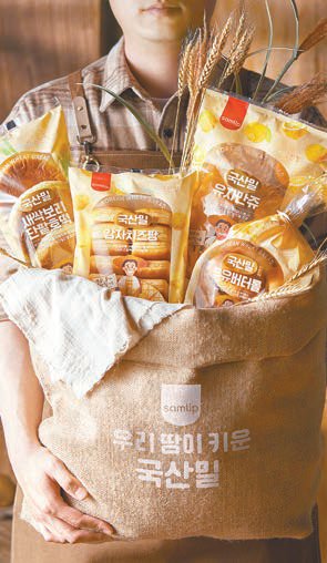 [맛있는 도전] 새싹보리 단팥호떡감자치즈팡 등 신제품 국산 밀 베이커리 4종 선보여