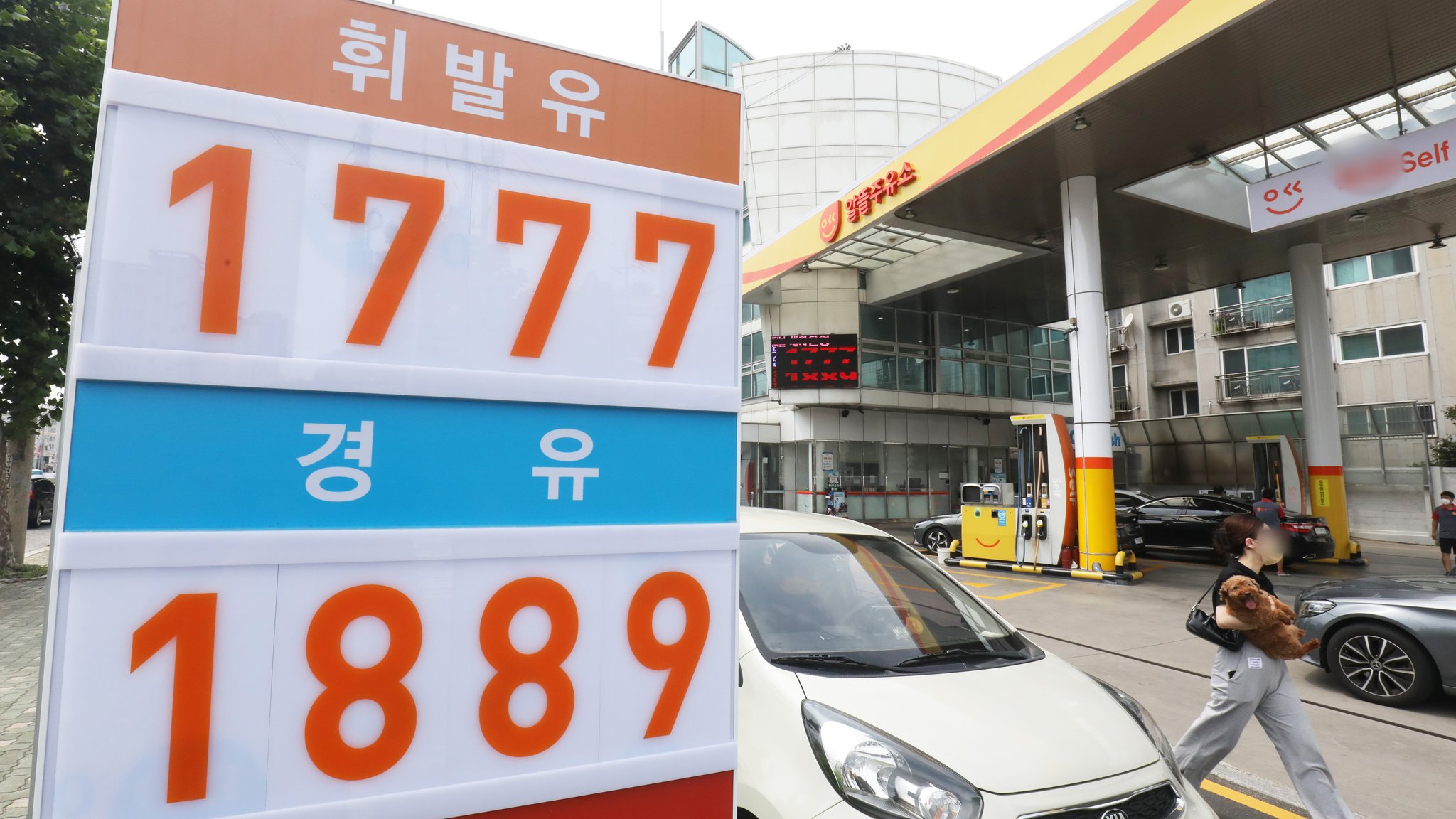 [포토타임] 형형색색 터널을 걸어요... 동굴 바캉스