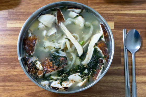 자식에게도 숨기는 양양송이밭…1㎏에 60만원, 고기보다 쫄깃
