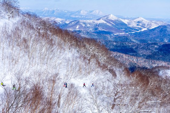 한 해 절반이 ‘스키천국’…솜눈 위를 날아볼까