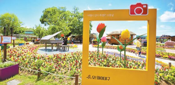 [특별한 대구 봄 여행] 사문진나루터·화원동산, 마비정 벽화마을…정겨운 시골 농촌 풍경 눈길