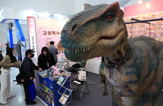 [사진] 해외 말고, 국내 여행 떠나요