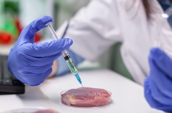 한국세포배양협회 글로벌 경쟁력 갖춘 배양육, 푸드테크 위한 제도적 지원 필요