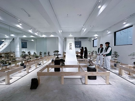 에세테라, ‘입춘대길 분재전’ 개최