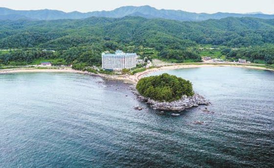 [분양 포커스] 침대에서 일출 바라보는 힐링 리조트…선착순 100명 특별 혜택, 여름성수기 예약