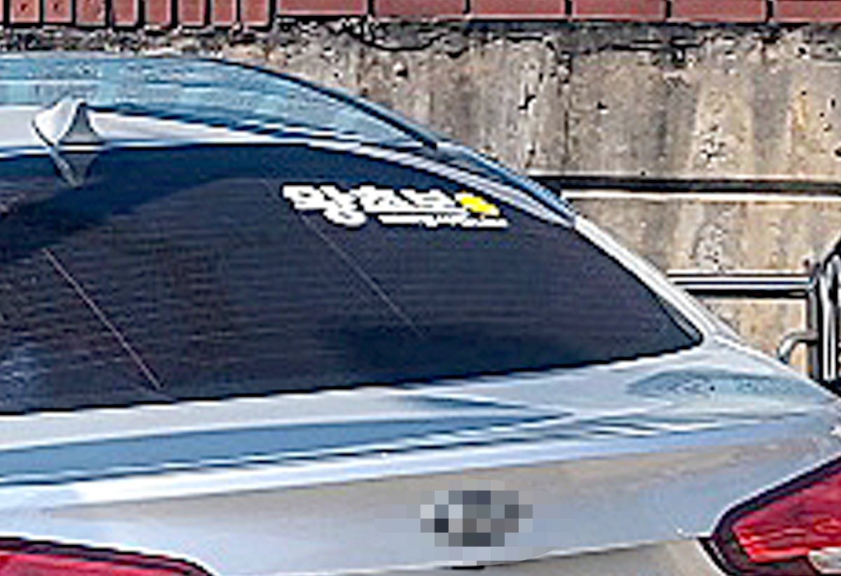 왕초보 車, 좌회전하다 인도 돌진…길 가던 모녀 덮쳤다