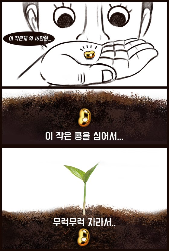 한돈 50만원 시대 오나…콩알금 1g씩 모아요 2030 금테크 [같toon마음]