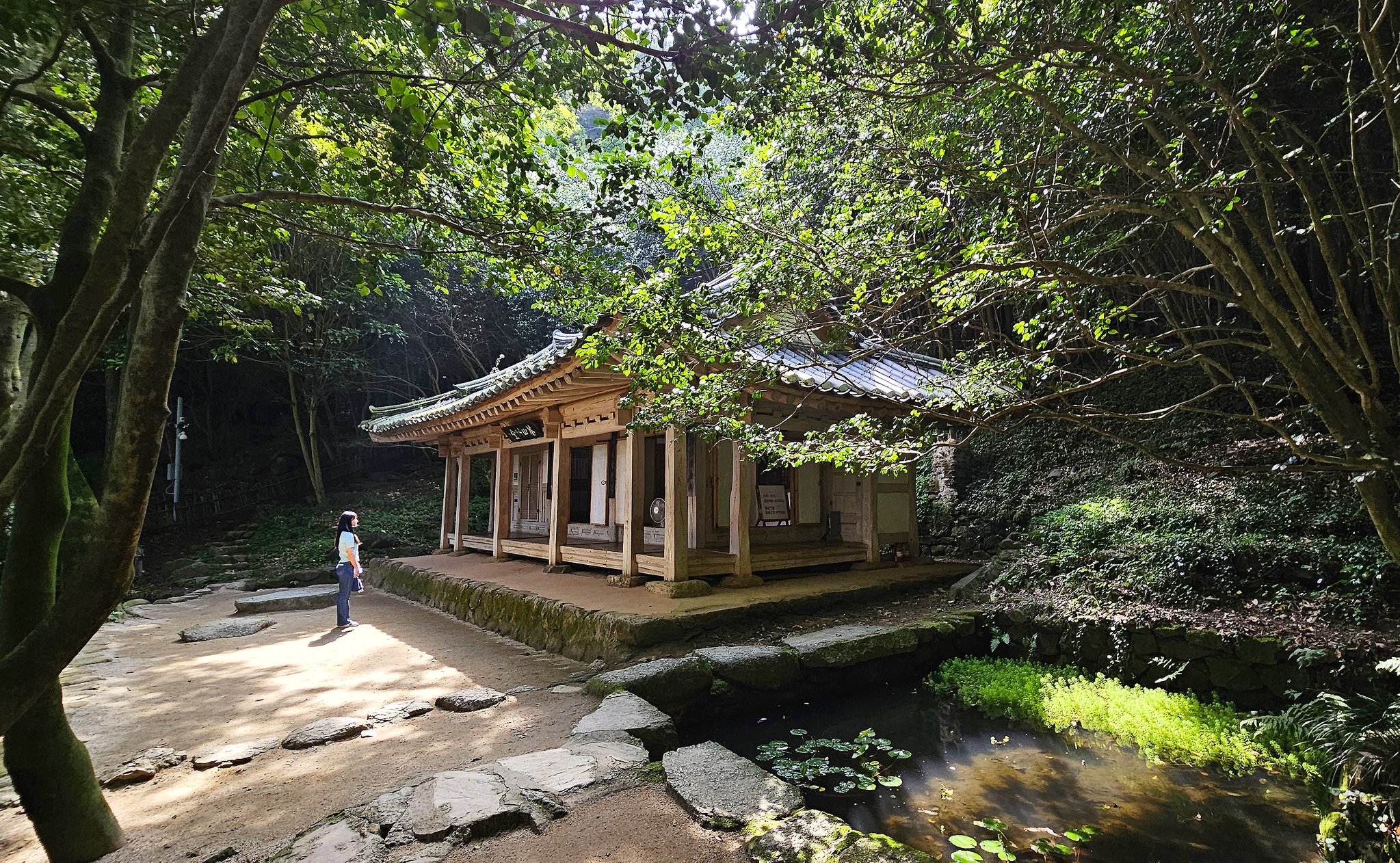 다산은 한밤에도 이 산길 넘었다…절친 우정이 만든 명품 숲길