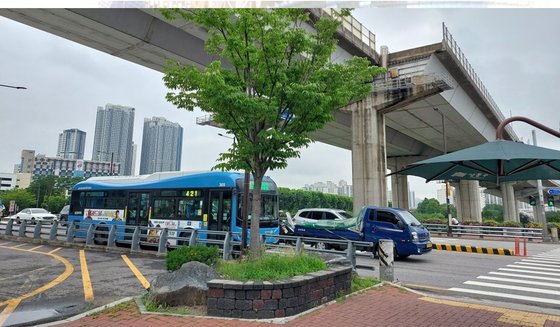 시청역 승용차 돌진 참사 재발 방지…2026년까지 가로수 2000주 심는다