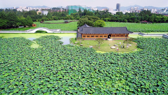 덕진공원 나무 200그루 사라졌다...전주 550억 사업 뭐길래