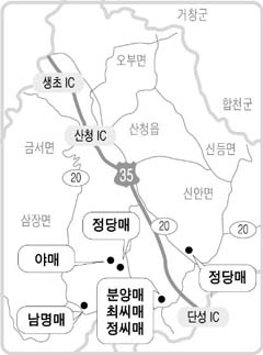 산청 매화보러 가는길  