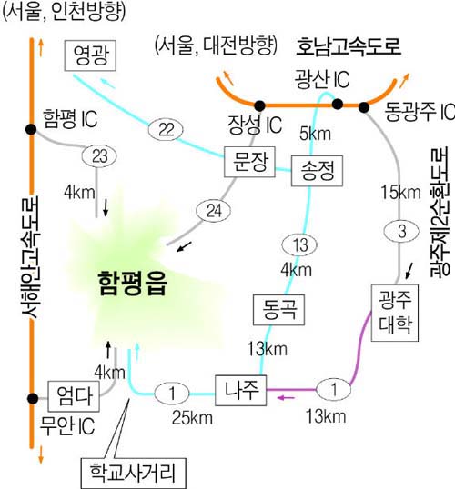 선암사·함평 느지막한 봄여행