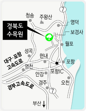 동양 최대 ‘경북도 수목원’  문 활짝