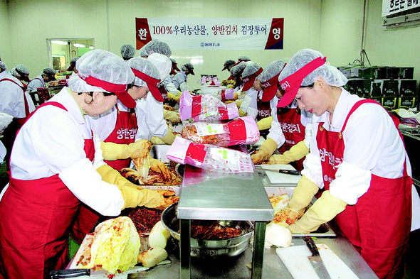 “믿을만한 김치 찾아볼까, 이 참에 담가볼까”