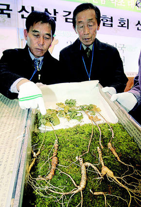 “와∼” 산삼 6뿌리가 1억2500만원