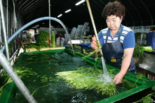 “87년 6월 거리에서 더불어 사는 삶 배웠어요”