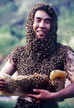 “벌떼 만나면 소리지르지 마세요”