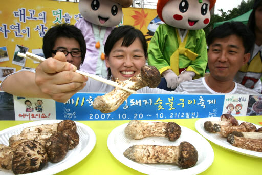 봉화 송이버섯 드시러 오세요