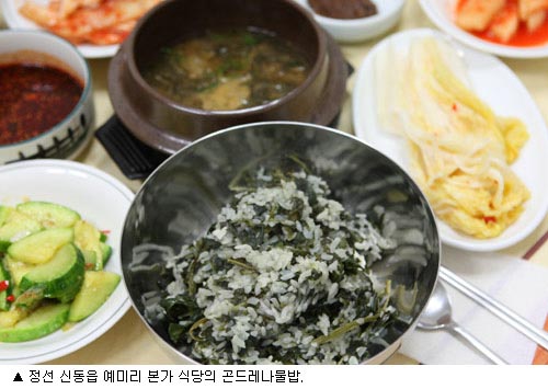 짙은 녹음 풀꽃향 더불어 동강 용틀임 한눈에