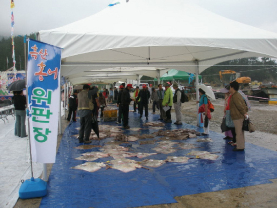 ‘싱싱한’ 흑산도 홍어 맛보세요