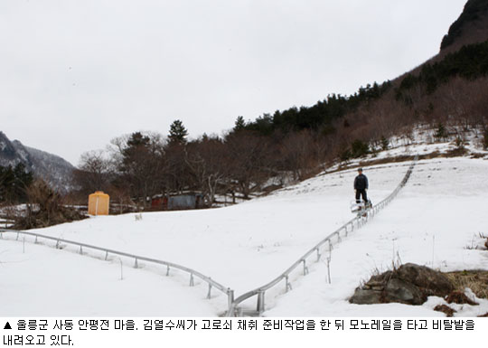 산비탈에 레일 깔고 5가구 무농약 나물농사