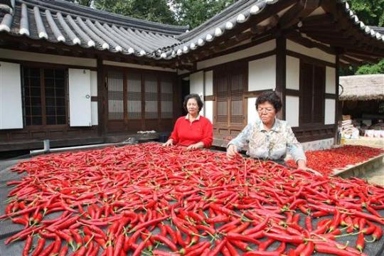 가을햇살 담뿍 머금은 고추